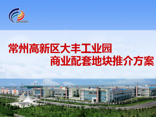 常州高新区大丰工业园商业地块推介页PPT文档