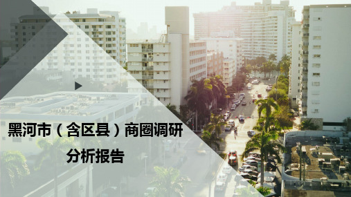 黑河市(含区县)商圈调研分析报告