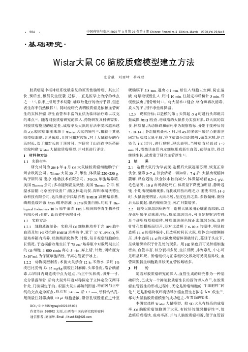 wistar大鼠c6脑胶质瘤模型建立方法