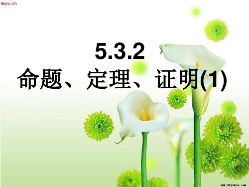 人教版数学七年级下册5.3.2命题、定理、证明1课件[1]