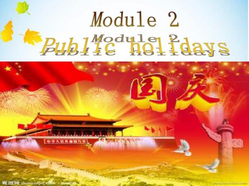 外研版九年级上册Module2Unit1(共19张PPT)