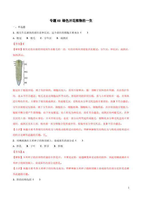 专题03 绿色开花植物的一生(解析版)