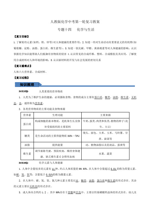 人教版初中化学九年级一轮 专题14 化学与生活 教案1