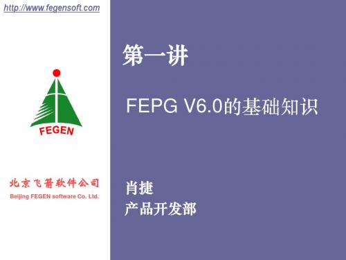 第一讲：FEPG V6.0的基础知识