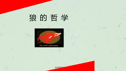 狼的管理哲学完整培训课件