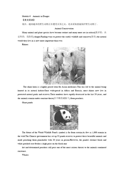 高考英语一轮复习教案：Module《AnimalsinDanger》(外研版必修五)