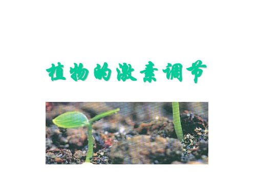 高中生物必修三---植物的激素调节