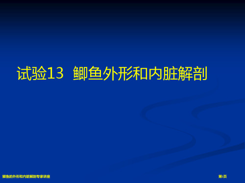 鲫鱼的外形和内脏解剖专家讲座