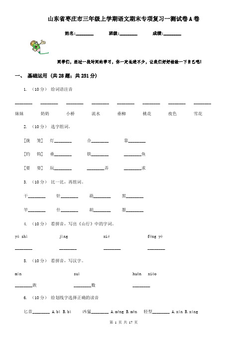 山东省枣庄市三年级上学期语文期末专项复习一测试卷A卷