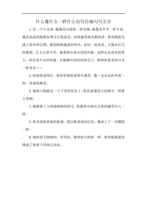 什么像什么一样什么仿写比喻句写五官