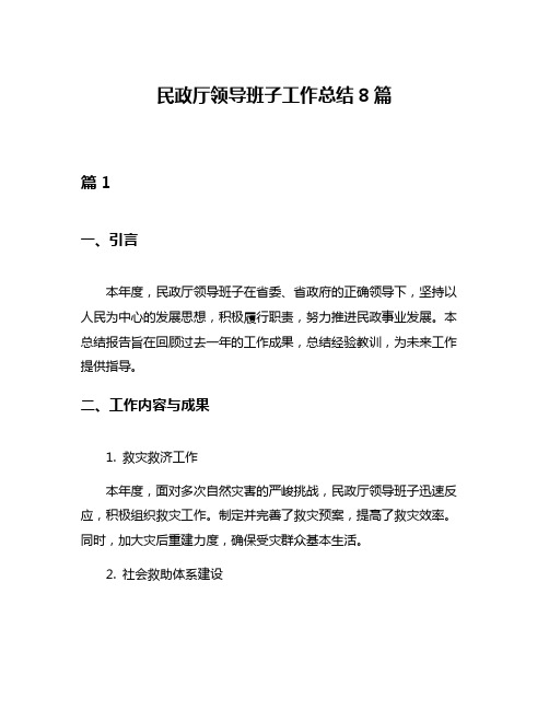 民政厅领导班子工作总结8篇