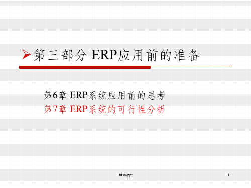 ERP可行性分析