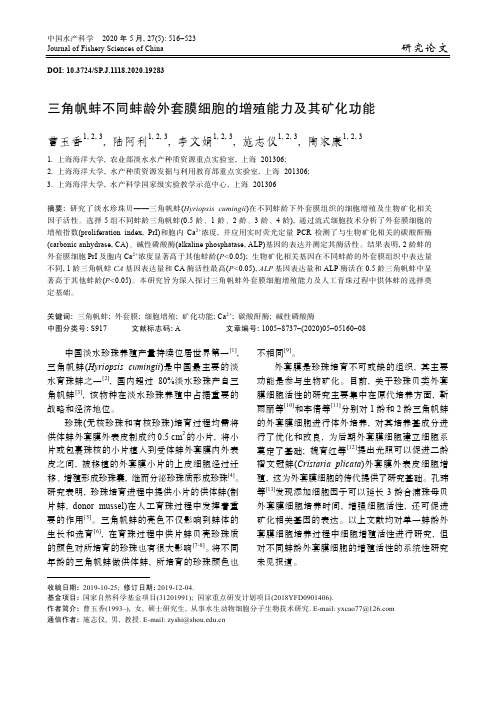 三角帆蚌不同蚌龄外套膜细胞的增殖能力及其矿化功能
