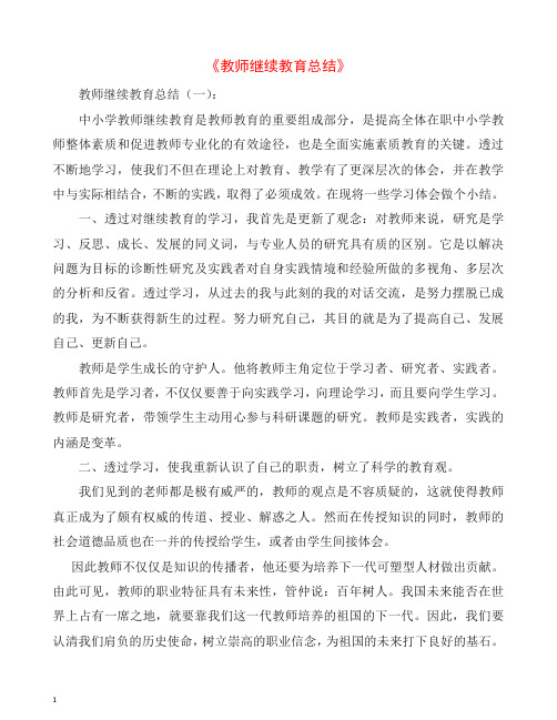 [推荐]2019年教师继续教育总结20篇篇.docx