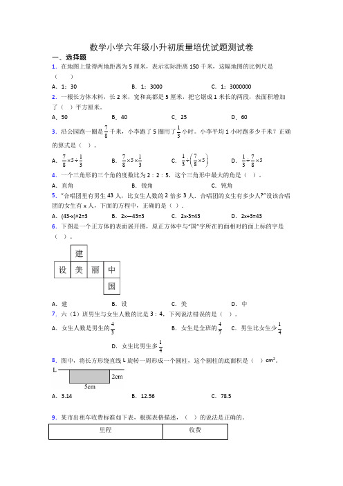 数学小学六年级小升初质量培优试题测试卷