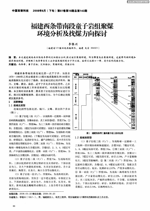 福建西条带南段童子岩组聚煤环境分析及找煤方向探讨