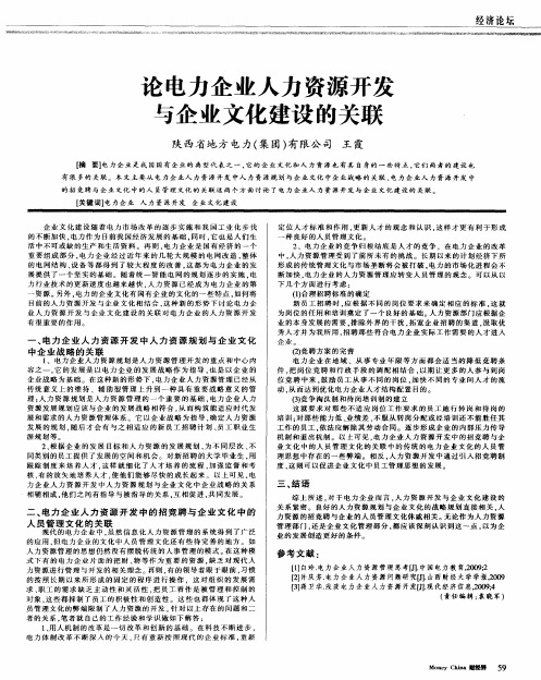 论电力企业人力资源开发与企业文化建设的关联