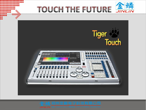 Tiger Touch