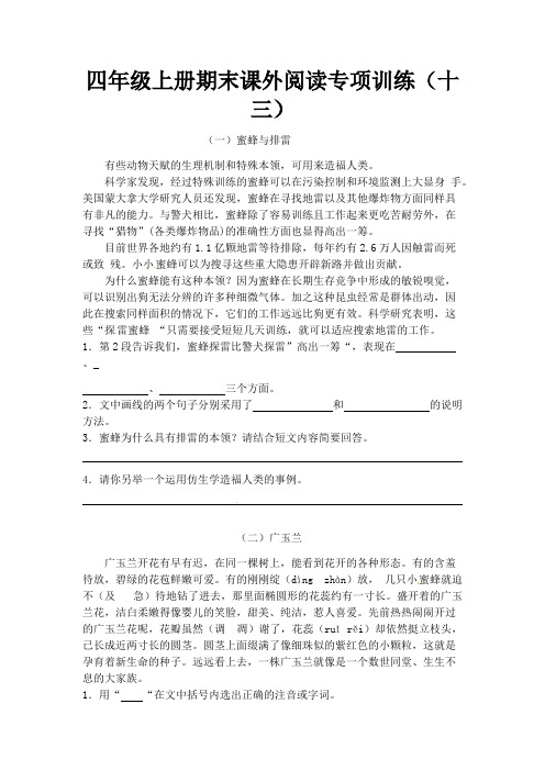 四年级上册语文期末课外阅读专项训练(十三).pdf