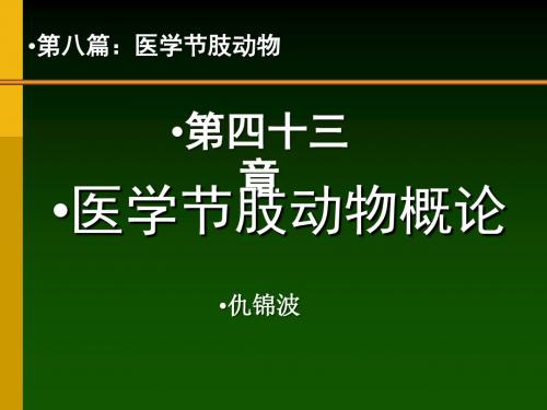 医学节肢动物概论PPT课件