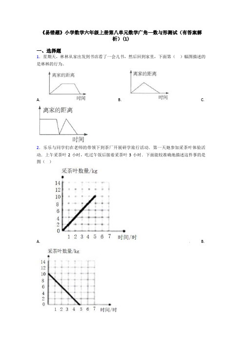 《易错题》小学数学六年级上册第八单元数学广角—数与形测试(有答案解析)(1)