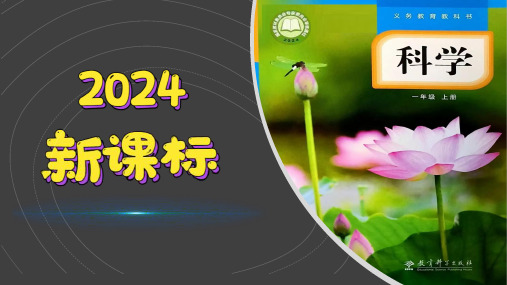 (2024)新教科版科学一年级上册(1-4)给植物画张“像”PPT课件