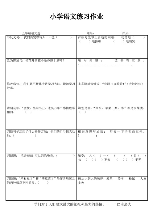 小学五年级语文精作细练I (34)