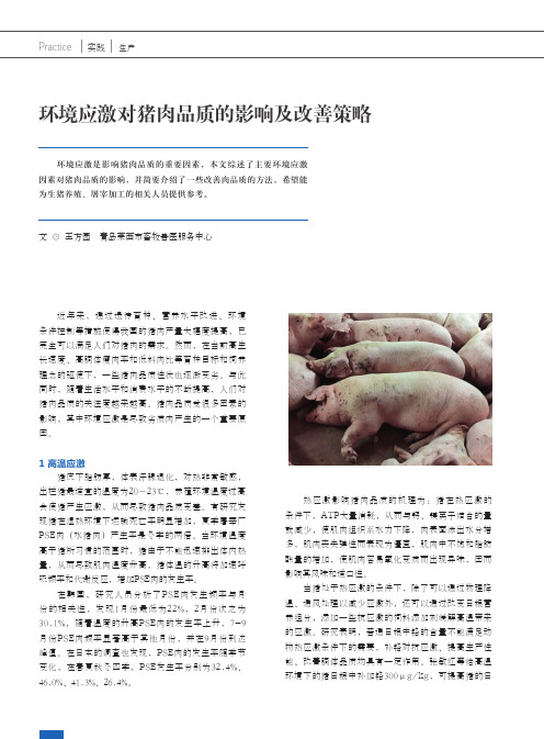 环境应激对猪肉品质的影响及改善策略