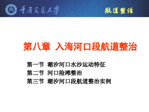 第八章入海河口段航道整治知识讲解