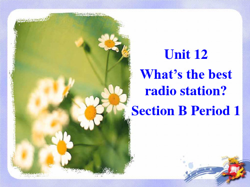 Unit12《Whatsthebestradiostation》SectionB1课件(新人教版八年级上)