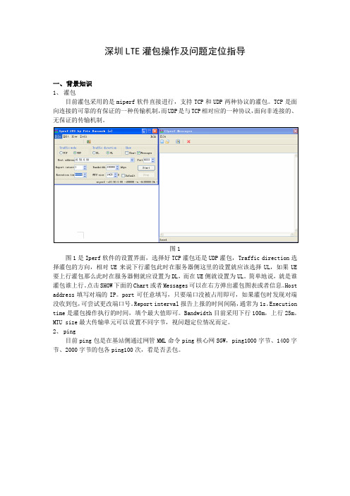 最新(完美版)深圳LTE灌包操作及问题定位指导
