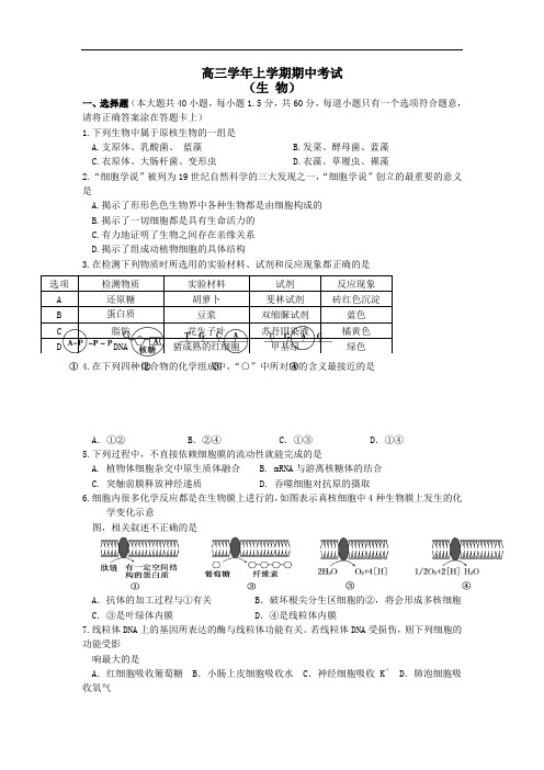 高三上学期期中考试生物试卷-有答案通用版