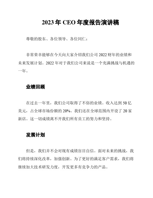 2023年CEO年度报告演讲稿