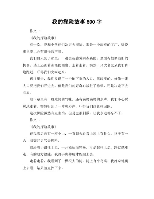 我的探险故事600字