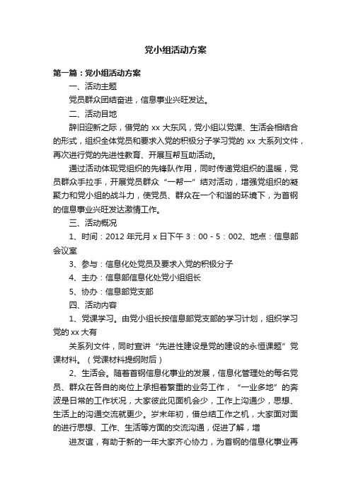 党小组活动方案