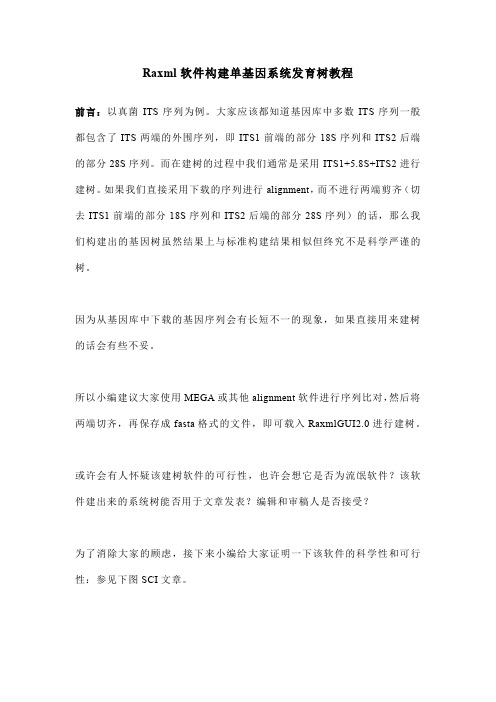 Raxml软件构建多基因系统发育树教程