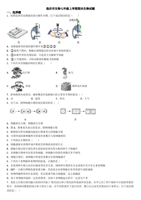 临沂市生物七年级上学期期末生物试题