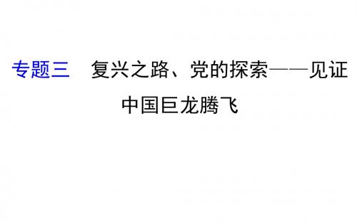中考复习(人教版历史) 专题三 复兴之路、党的探索——