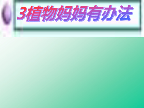 人教部编版小学二年级上册语文3、《植物妈妈有办法》PPT课件