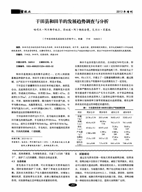 于田县和田羊的发展趋势调查与分析