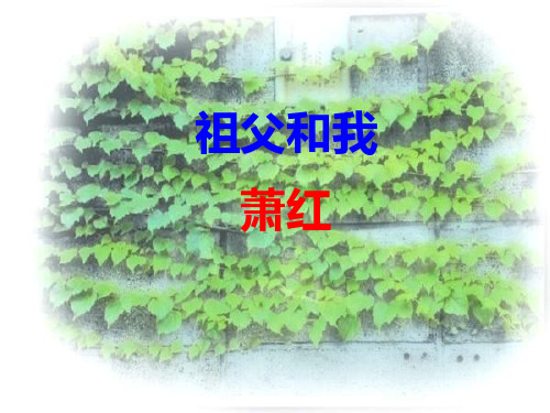 (五四制)沪教版语文六上《祖父和我》