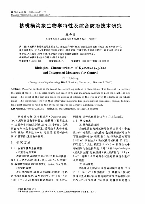 核桃横沟象生物学特性及综合防治技术研究