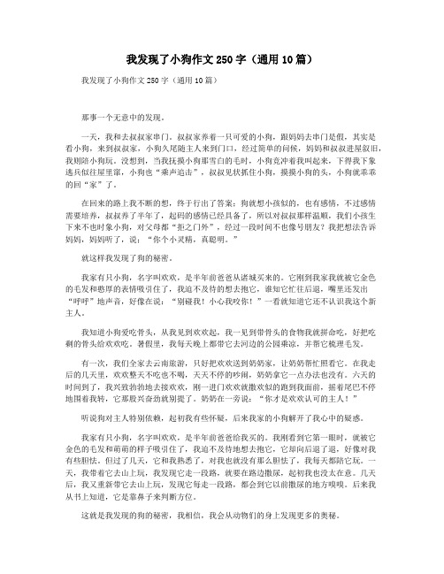 我发现了小狗作文250字(通用10篇)