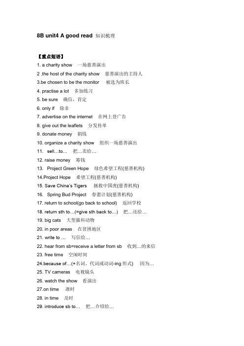 牛津译林八年级下册Unit4 A good read 重点知识梳理