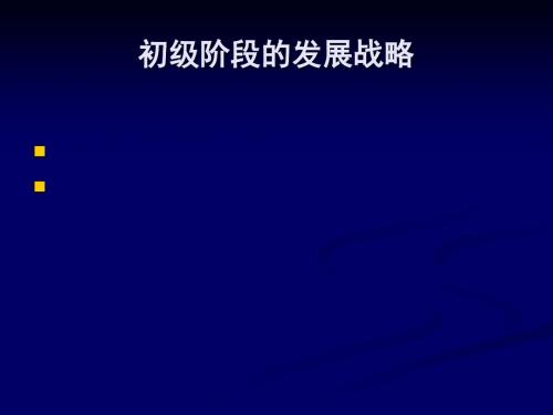 科学发展观和社会主义初级阶段的发展战略课件(PPT 46张)