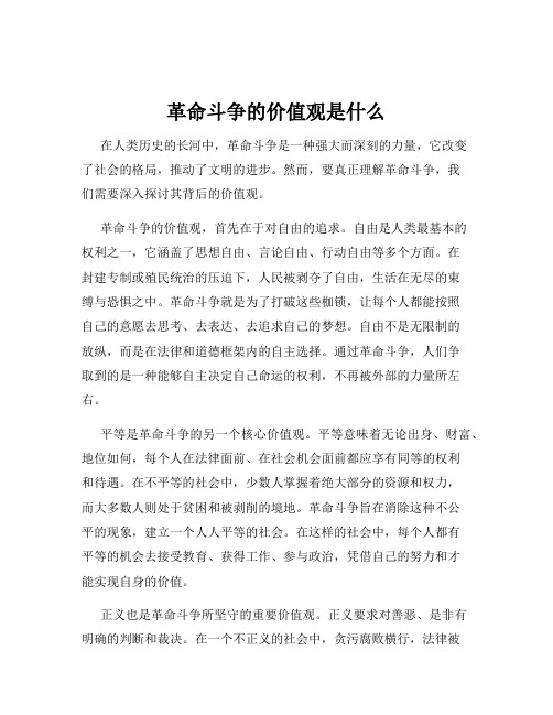 革命斗争的价值观是什么