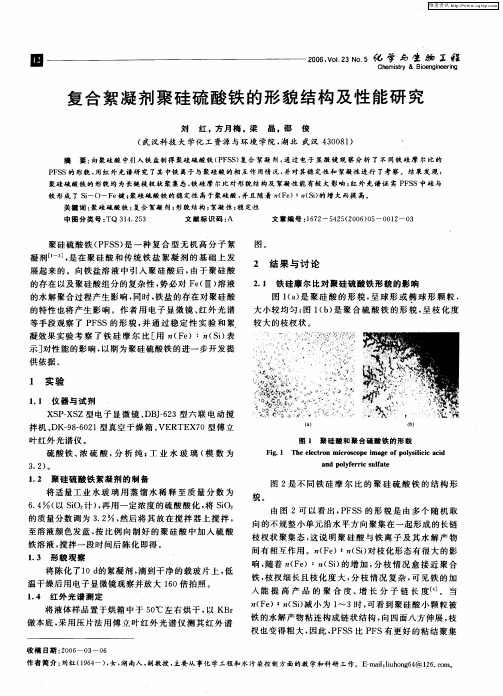 复合絮凝剂聚硅硫酸铁的形貌结构及性能研究