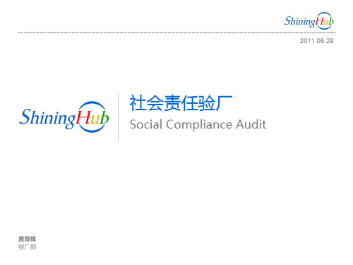 Social-Compliance-Audit