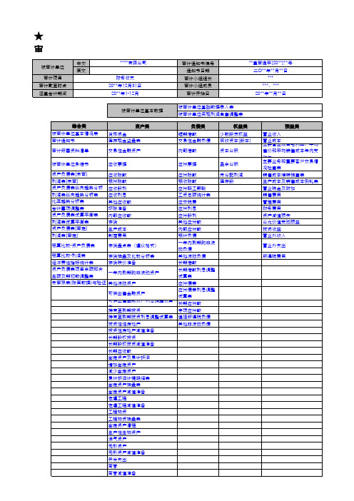 审计工作底稿模板-参照5-某大型集团对子公司开展的内部财务全面审计