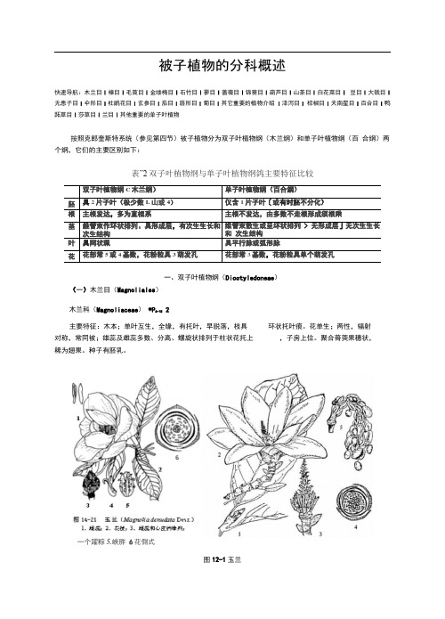 被子植物的分科概述